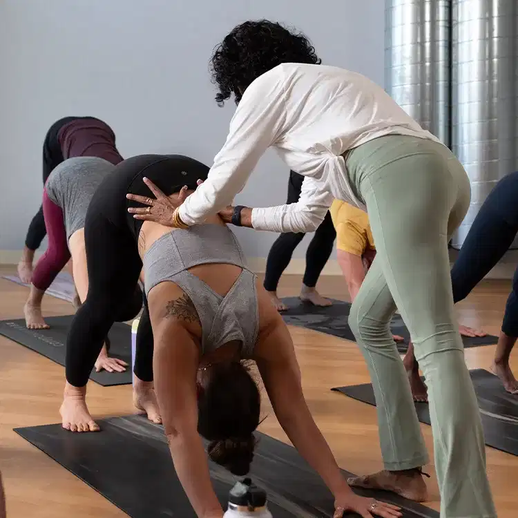 Yoga teacher providing corrections to a student in a class of yogis doing downward dog
