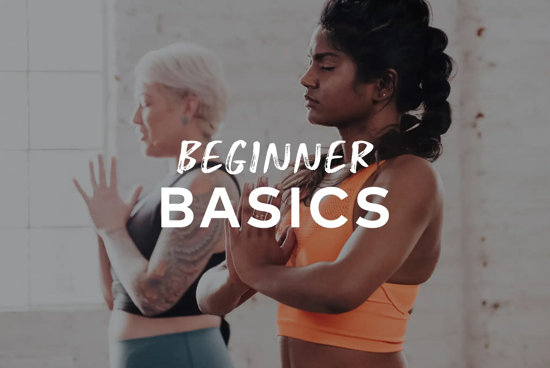 Beginner Basics